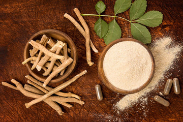 KSM-66 Ashwagandha: Stress Relief, Energy & Balance Backed by Ancient Wisdom