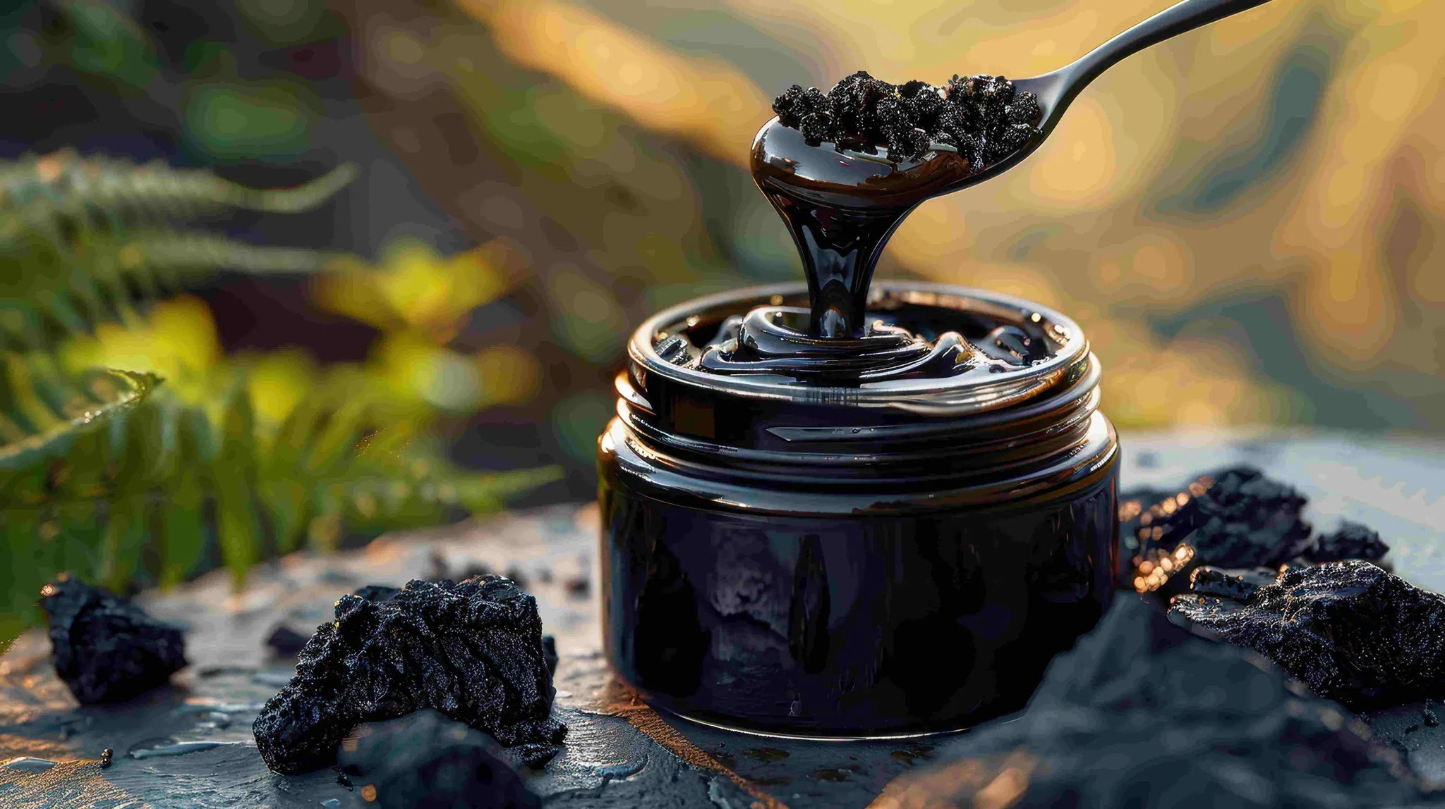 Shilajit 80%+ Fulvic Acid: Natural Energy, Vitality & Recovery