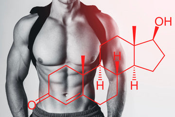 The Science of Testosterone: What It Does and What Affects It