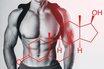 The Science of Testosterone: What It Does and What Affects It